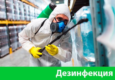 Дезинфекция в городе Нижний Новгород