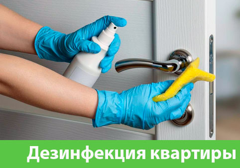 Дезинфекция квартиры в городе Нижний Новгород