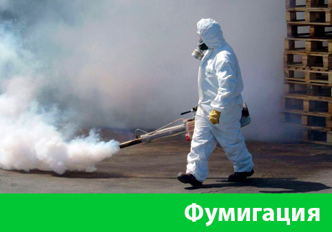 Фумигация в городе Нижний Новгород