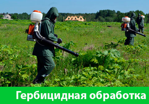Гербицидная обработка в городе Нижний Новгород