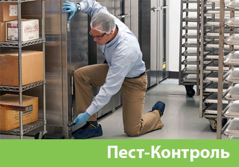 Пэст-Контроль в городе Нижний Новгород