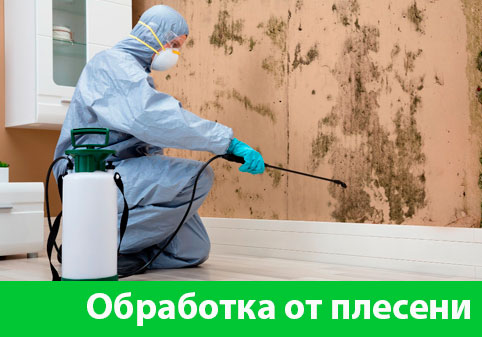 Обработка от плесени в городе Нижний Новгород