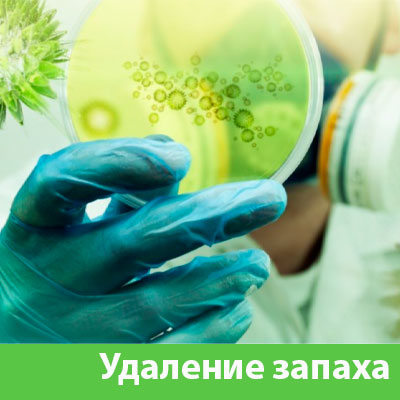 Удаление запахов в Нижнем Новгороде
