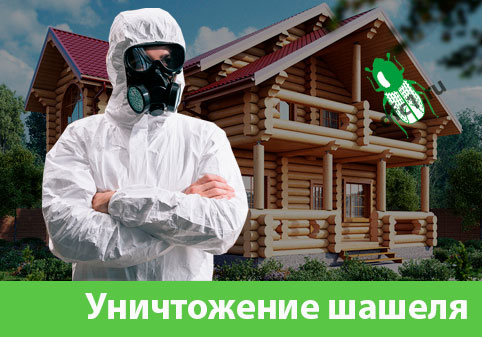 Уничтожение шашеля и личинок в Нижнем Новгороде