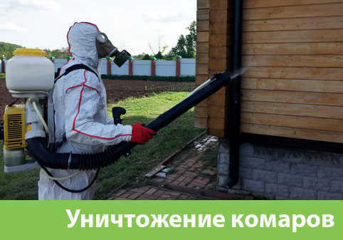 Уничтожение комаров в городе Нижний Новгород