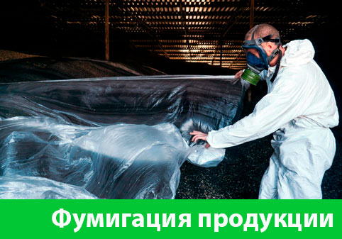 Фумигация продукции в городе Нижний Новгород